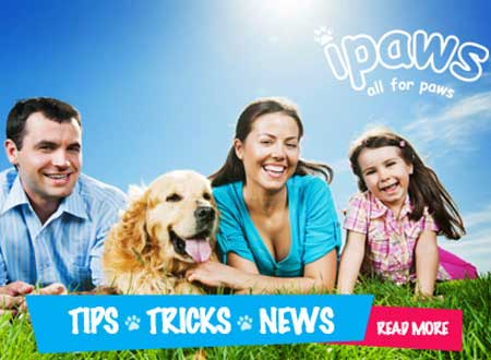 Dog Products Northern Suburbs Sydney, Eastwood, Macquarie Park, Ryde, Epping