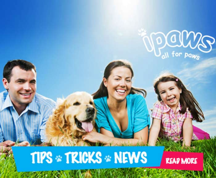 Dog & Puppy Products on Sale, Chatswood, Epping, Artarmon